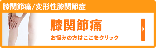 膝関節痛/変形性膝関節症
